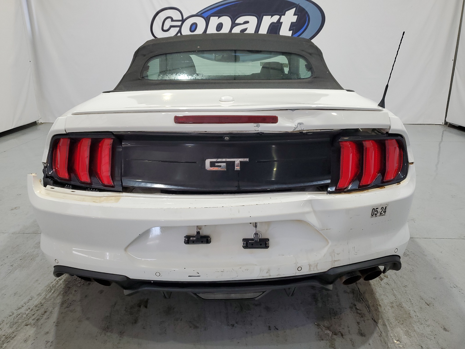1FATP8FF6K5126037 2019 Ford Mustang Gt