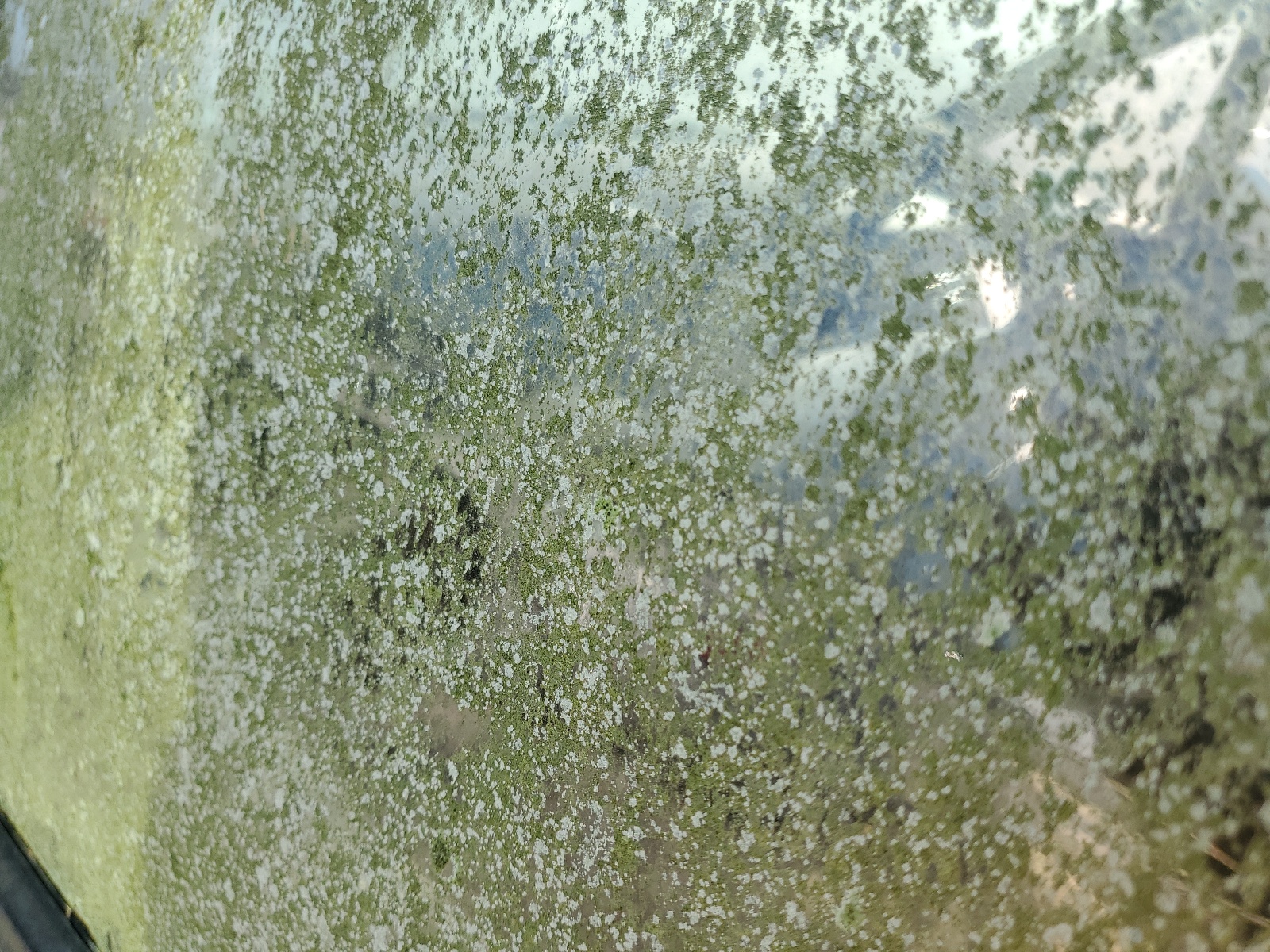 JT3AC14R5S1179812 1995 Toyota Previa Le