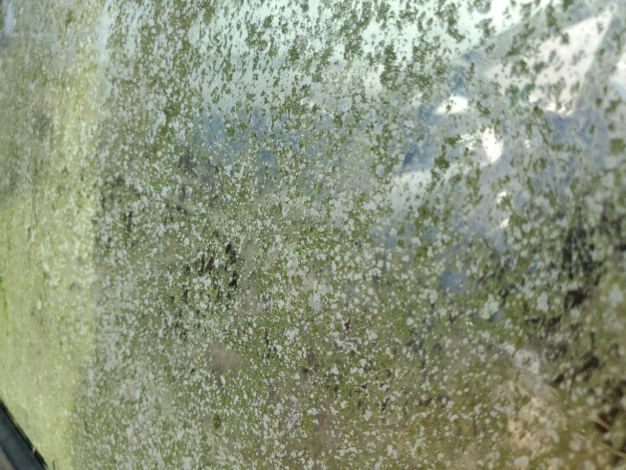 1995 Toyota Previa Le VIN: JT3AC14R5S1179812 Lot: 64673924