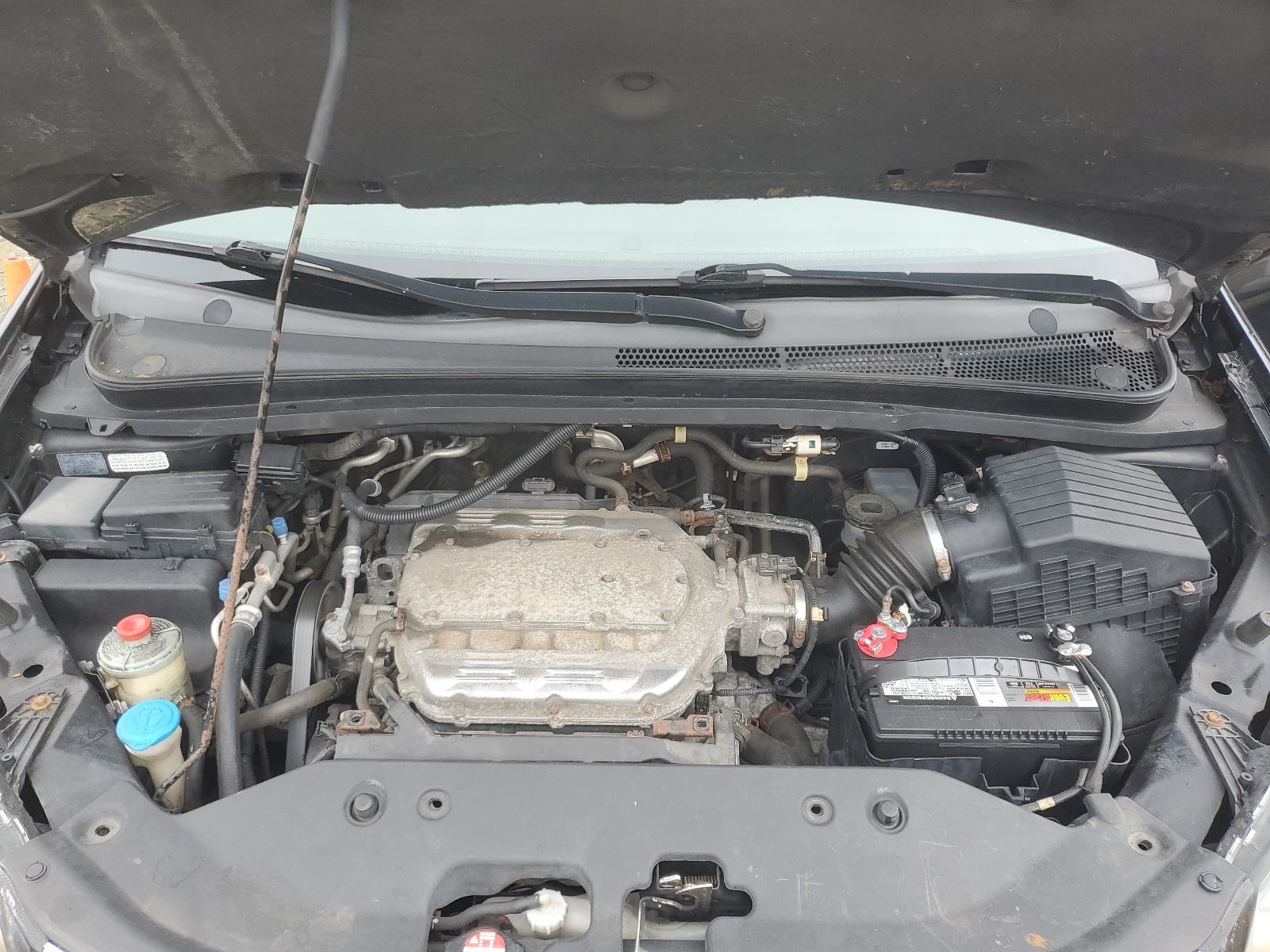 5FNRL3H76AB034903 2010 Honda Odyssey Exl