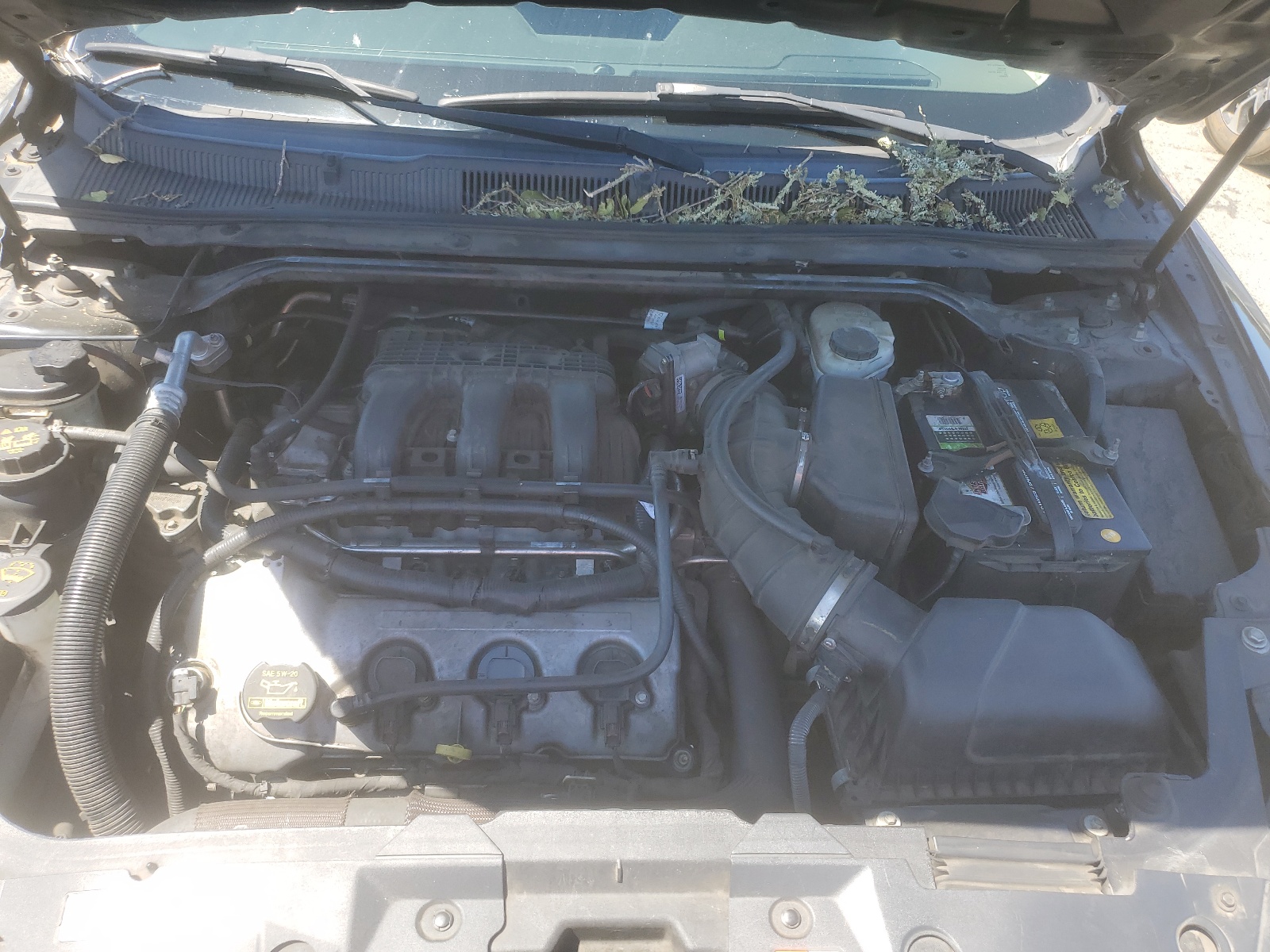 1FAHP2FW6AG133981 2010 Ford Taurus Limited