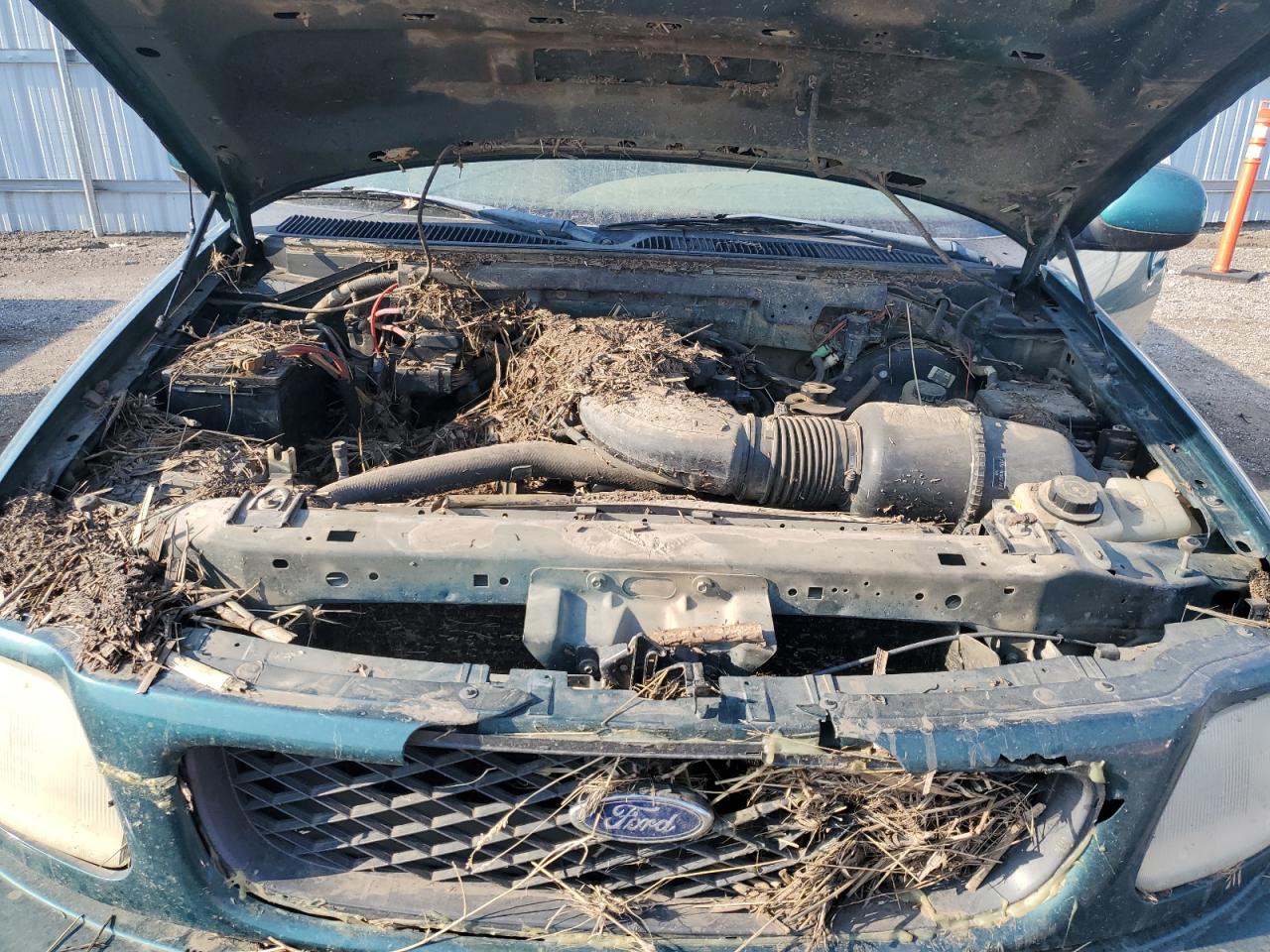 1998 Ford F150 VIN: 1FTZX18W5WKA47331 Lot: 62919944