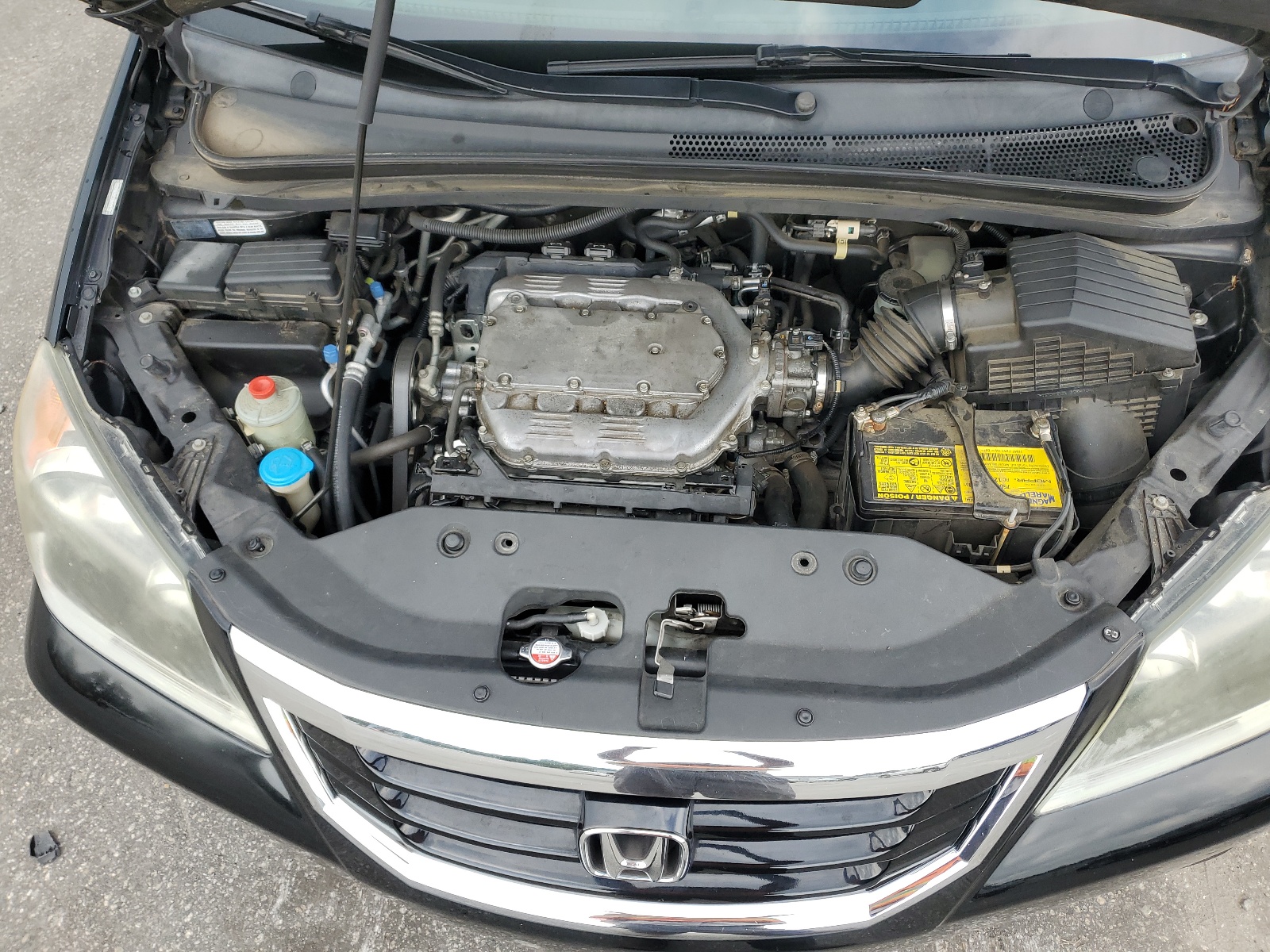 5FNRL3H69AB100447 2010 Honda Odyssey Exl