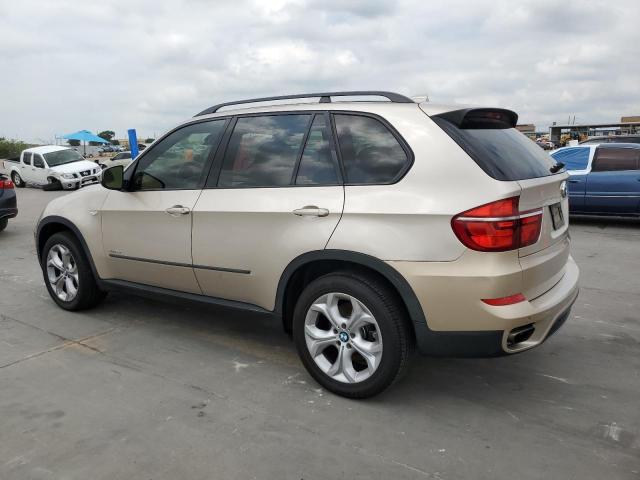  BMW X5 2013 Цвет загара