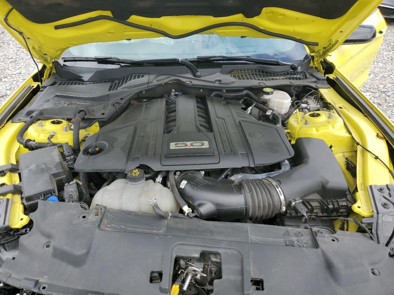 2021 Ford Mustang Gt VIN: 1FA6P8CF7M5118260 Lot: 63757204