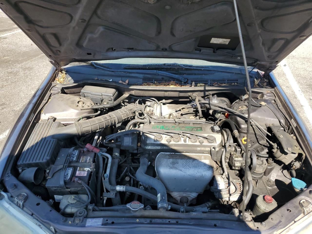 1999 Honda Accord Lx VIN: JHMCG6651XC016617 Lot: 65501324