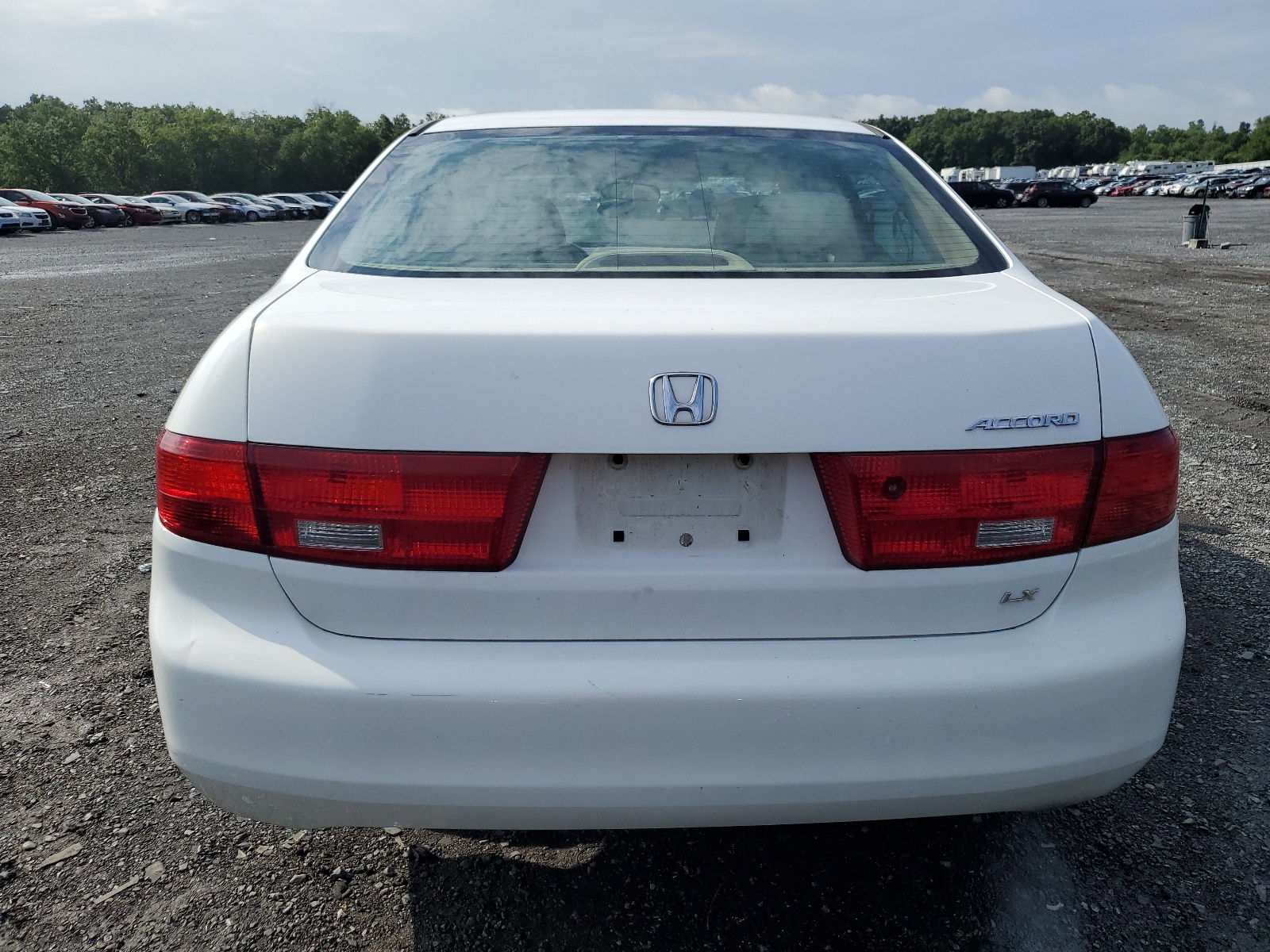 1HGCM564X5A135188 2005 Honda Accord Lx