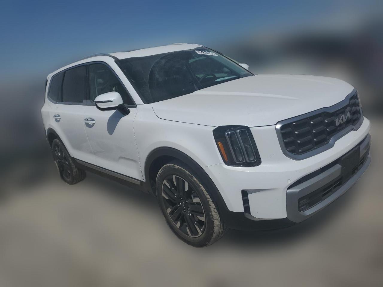 2023 Kia Telluride Sx VIN: 5XYP5DGC7PG409446 Lot: 64804134