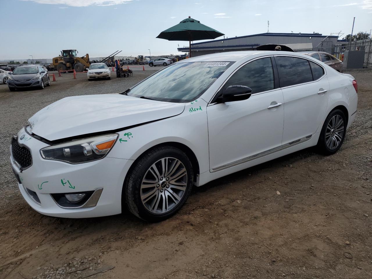 2014 Kia Cadenza Premium VIN: KNALN4D72E5166699 Lot: 64481244