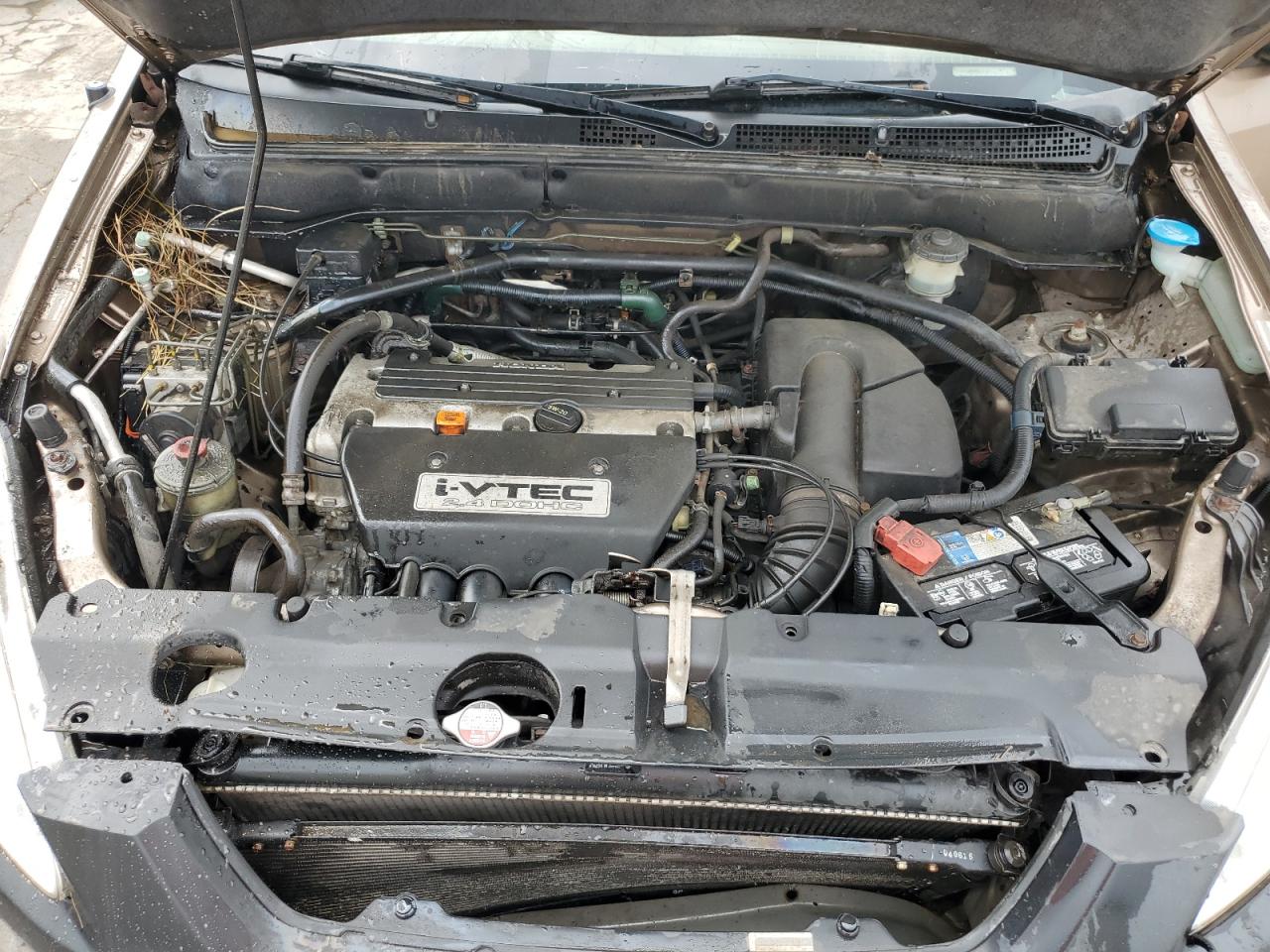 2004 Honda Cr-V Ex VIN: JHLRD78824C050937 Lot: 64781564