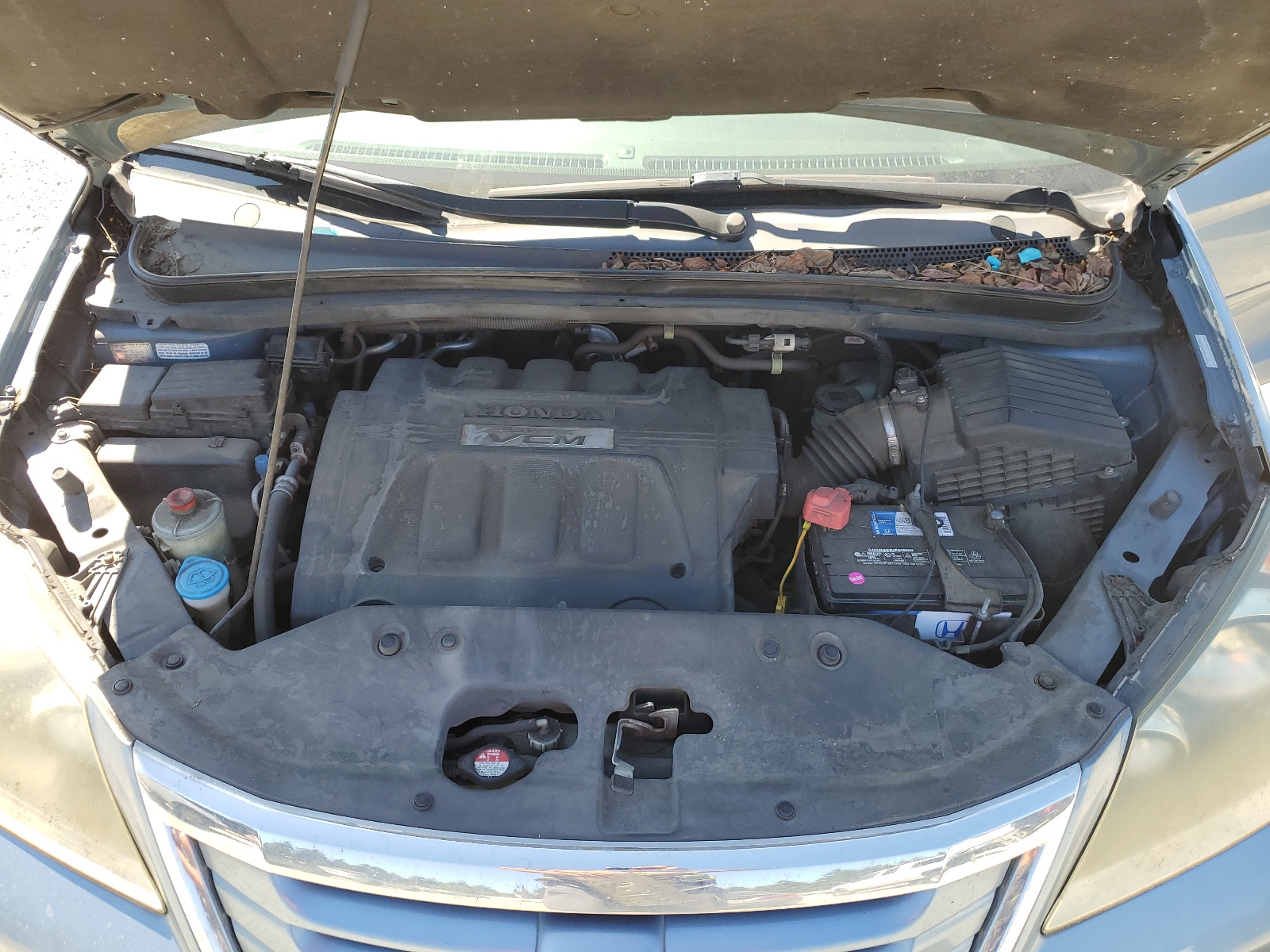 5FNRL38648B076102 2008 Honda Odyssey Exl