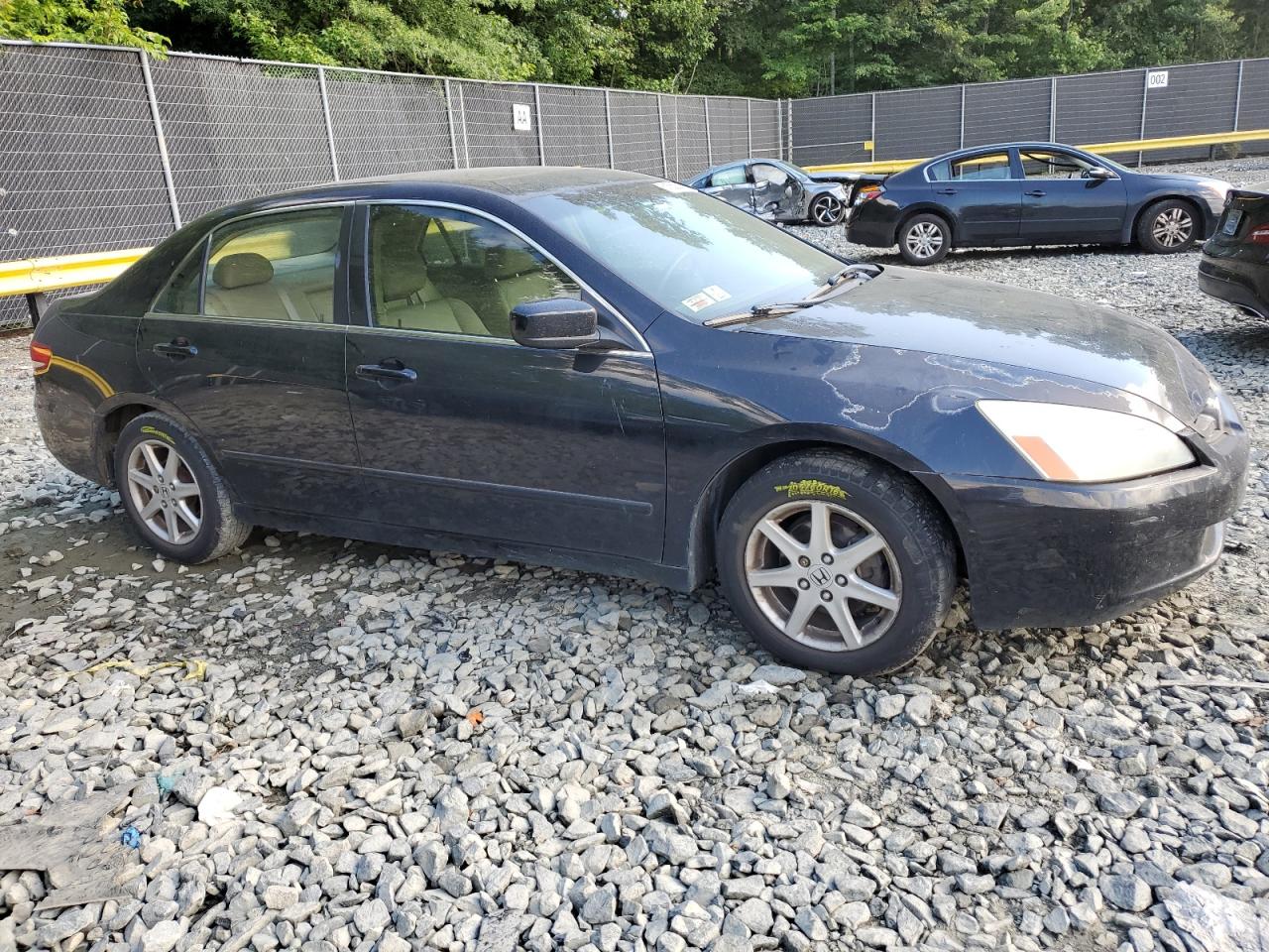 2003 Honda Accord Ex VIN: 1HGCM66593A068465 Lot: 61552584