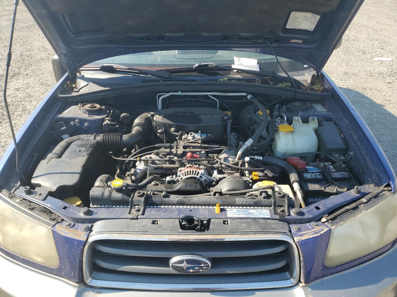 2004 Subaru Forester 2.5Xs VIN: JF1SG656X4G733356 Lot: 63721634