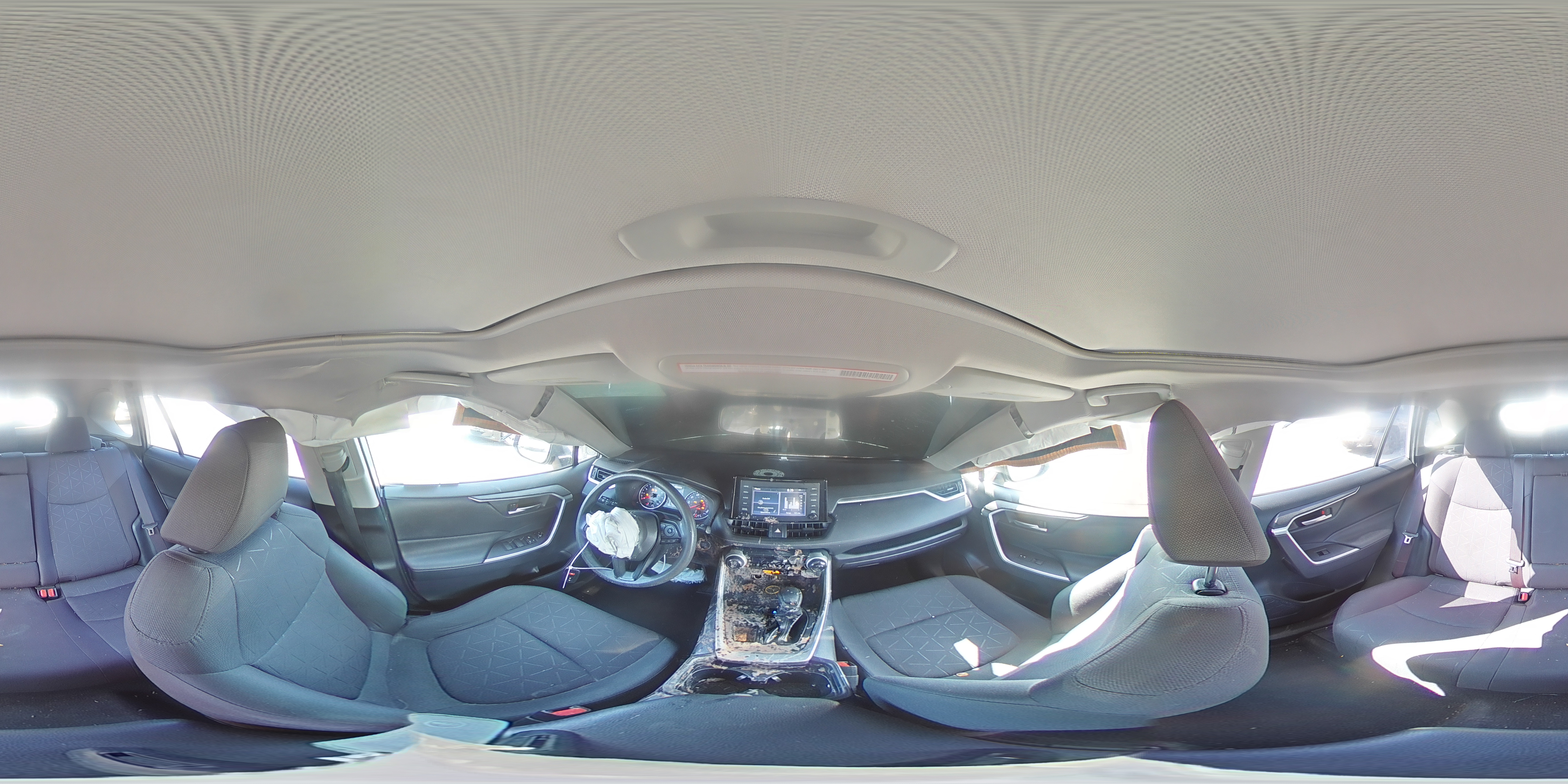 2019 Toyota Rav4 Xle VIN: JTMW1RFV7KD027304 Lot: 64772104