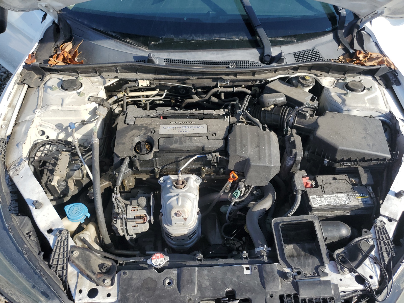 1HGCR2F36DA203072 2013 Honda Accord Lx