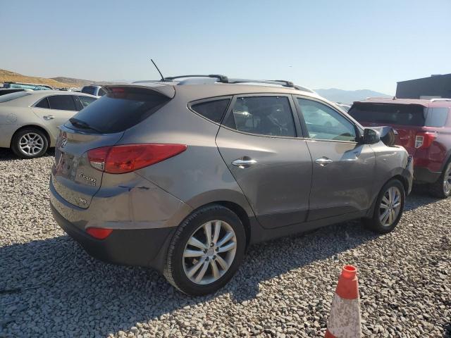  HYUNDAI TUCSON 2013 Цвет загара