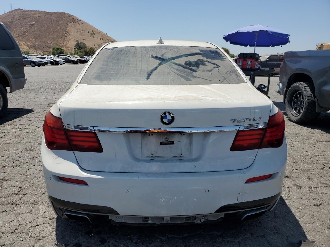 2013 BMW 750 Li VIN: WBAYE8C50DD132052 Lot: 65461014