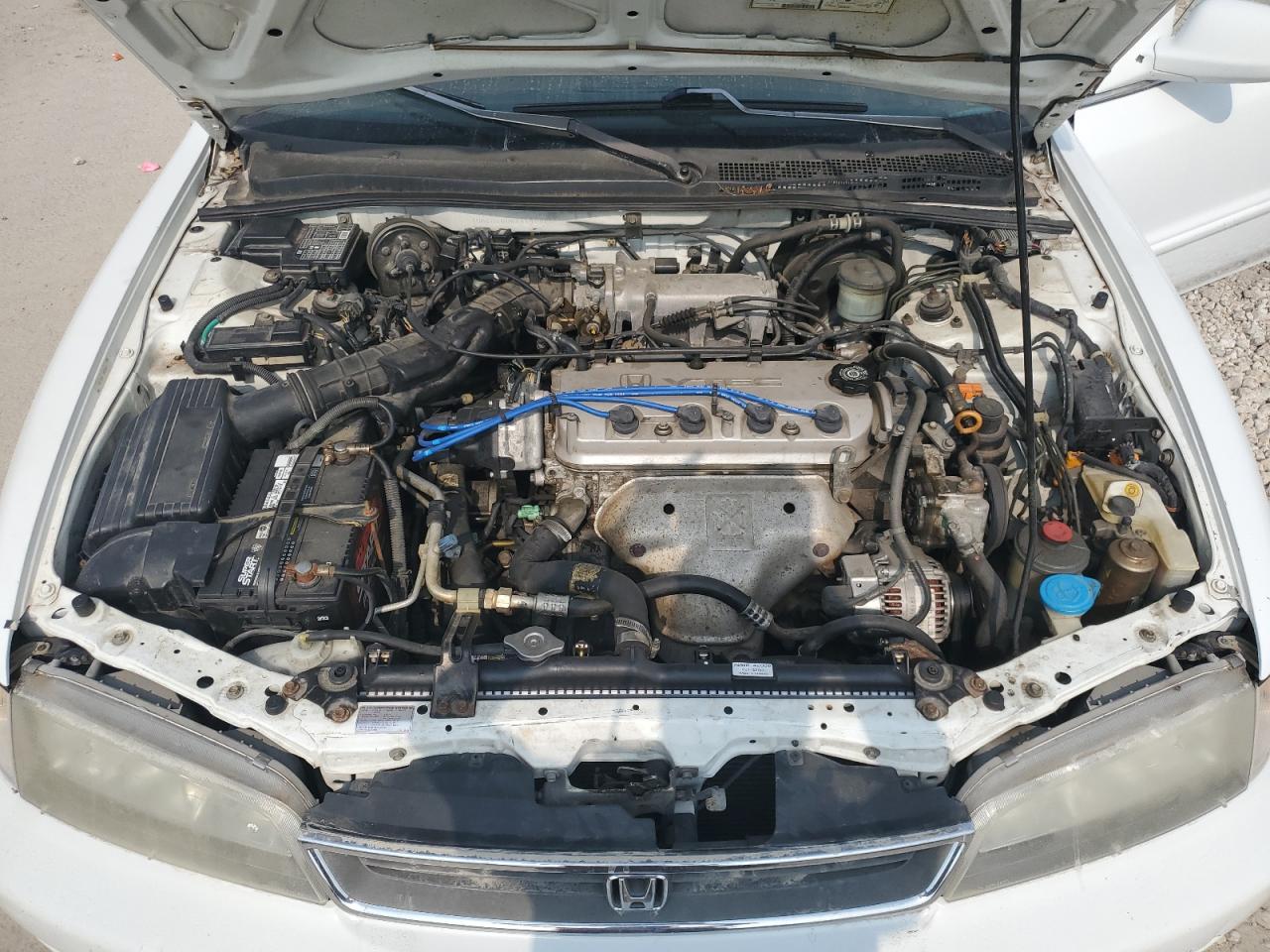 1996 Honda Accord Ex VIN: 1HGCD5666TA196021 Lot: 64105084