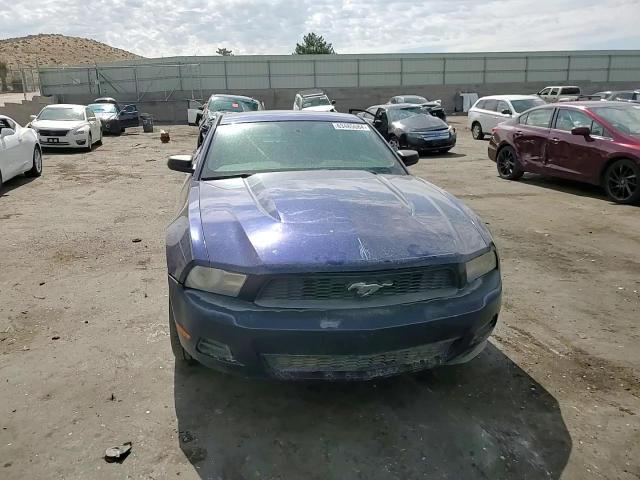 2010 Ford Mustang VIN: 1ZVBP8AN3A5172487 Lot: 63485684