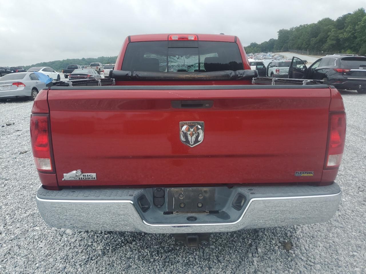 2010 Dodge Ram 1500 VIN: 1D7RB1GP0AS115722 Lot: 64291144