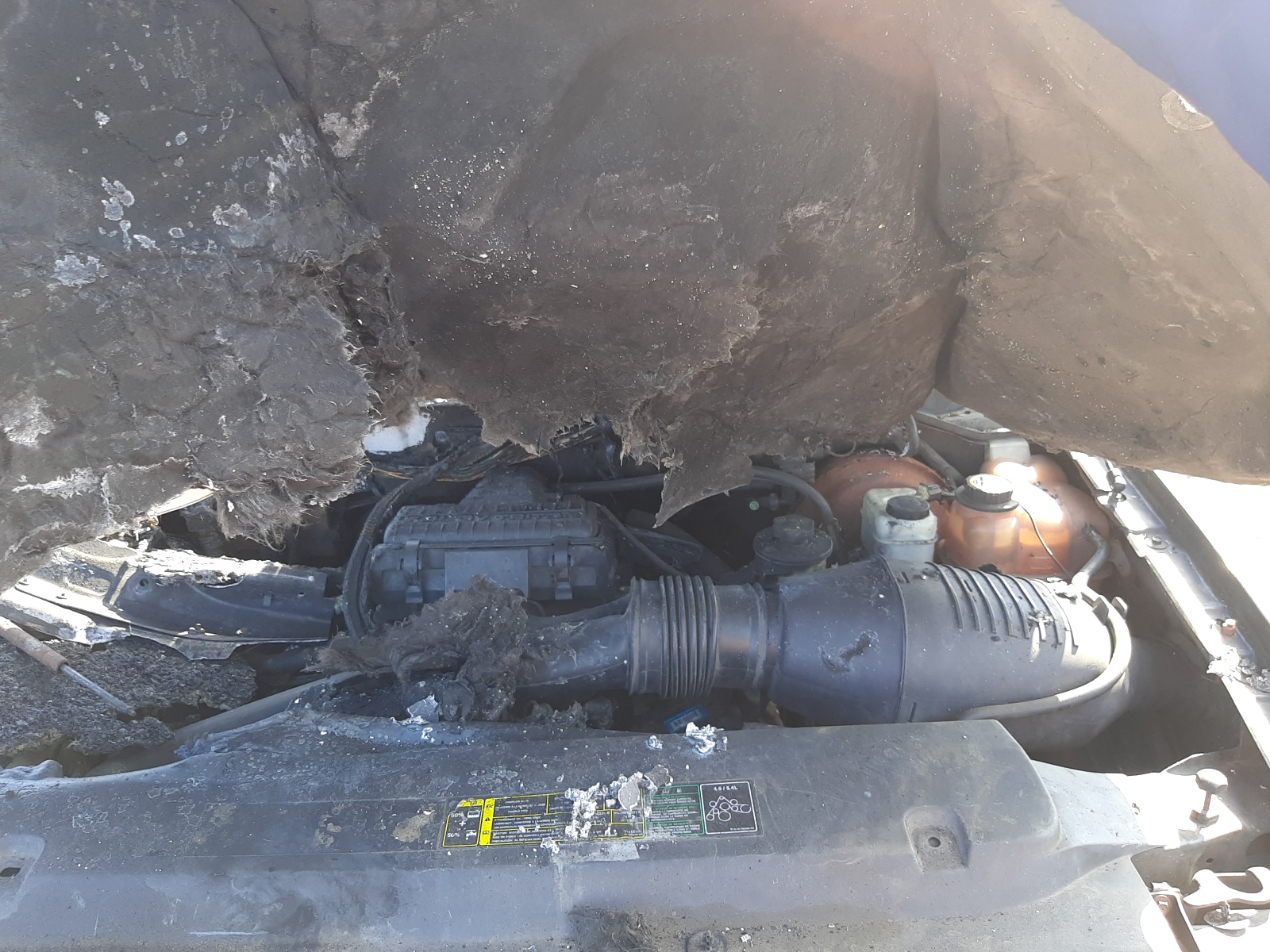 1FMFU18525LA11040 2005 Ford Expedition Eddie Bauer