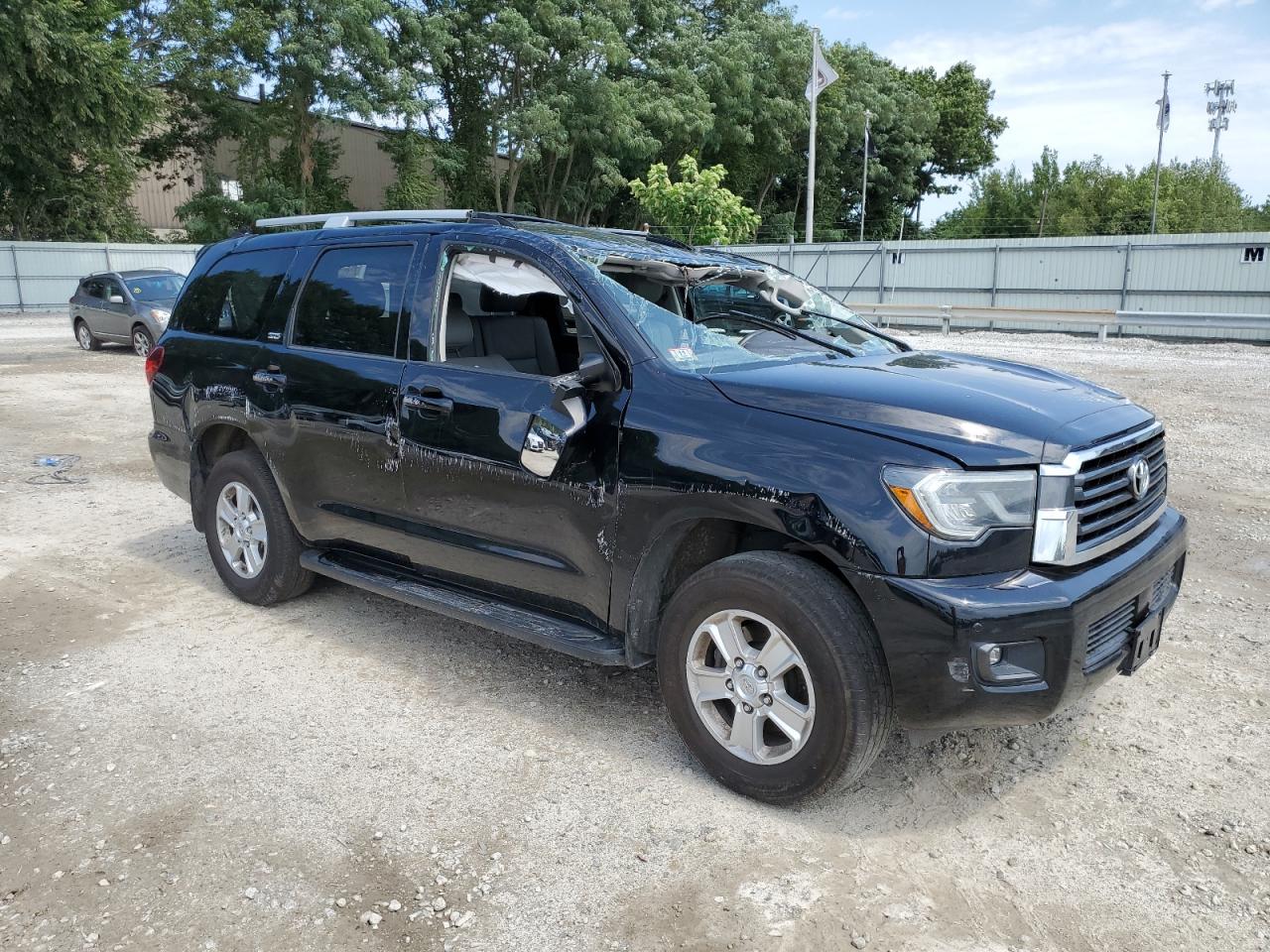 2019 Toyota Sequoia Sr5 VIN: 5TDBY5G14KS173520 Lot: 63435404