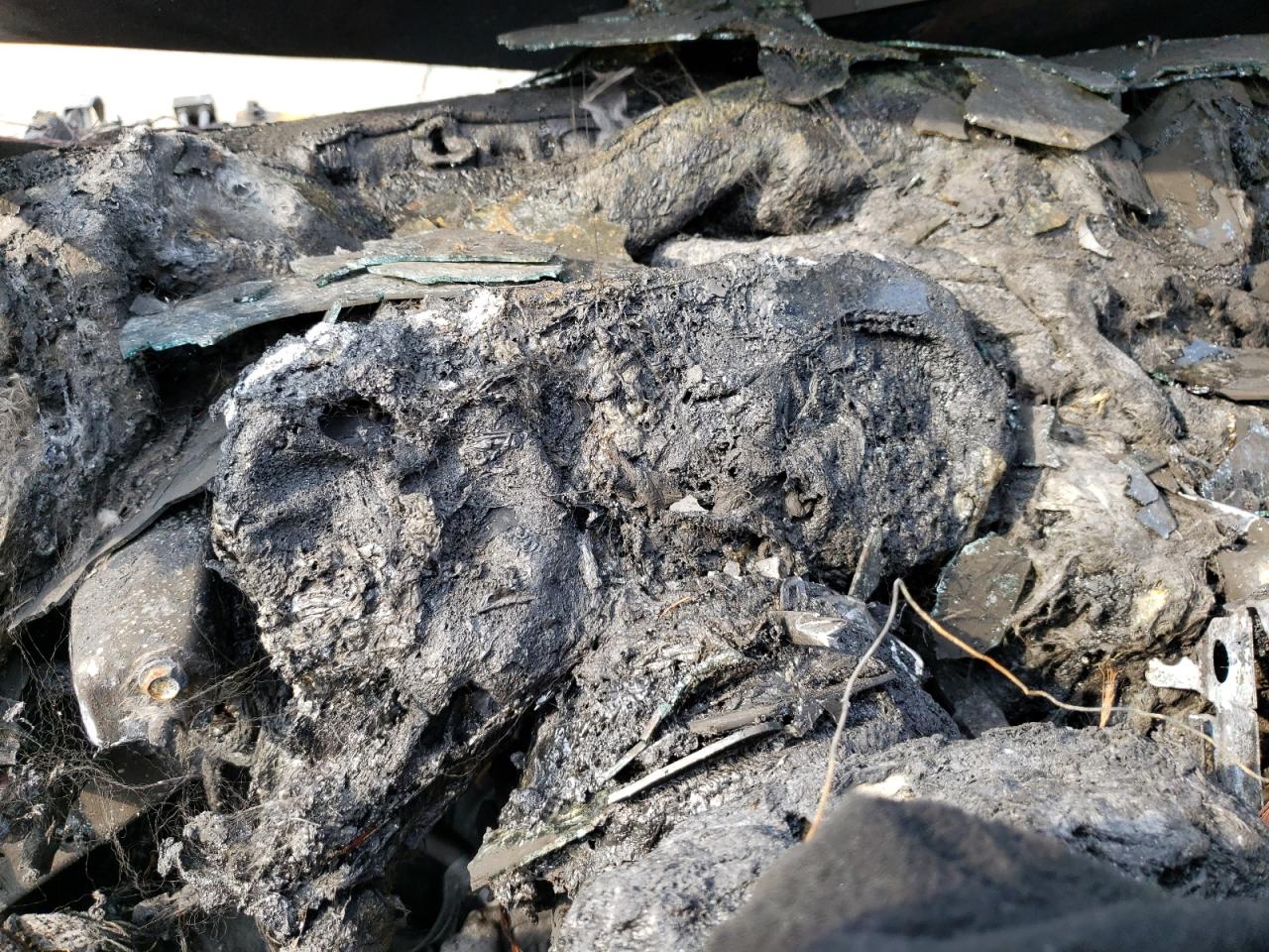 2014 Land Rover Range Rover Sport Hse VIN: SALWR2WF1EA323104 Lot: 63247154