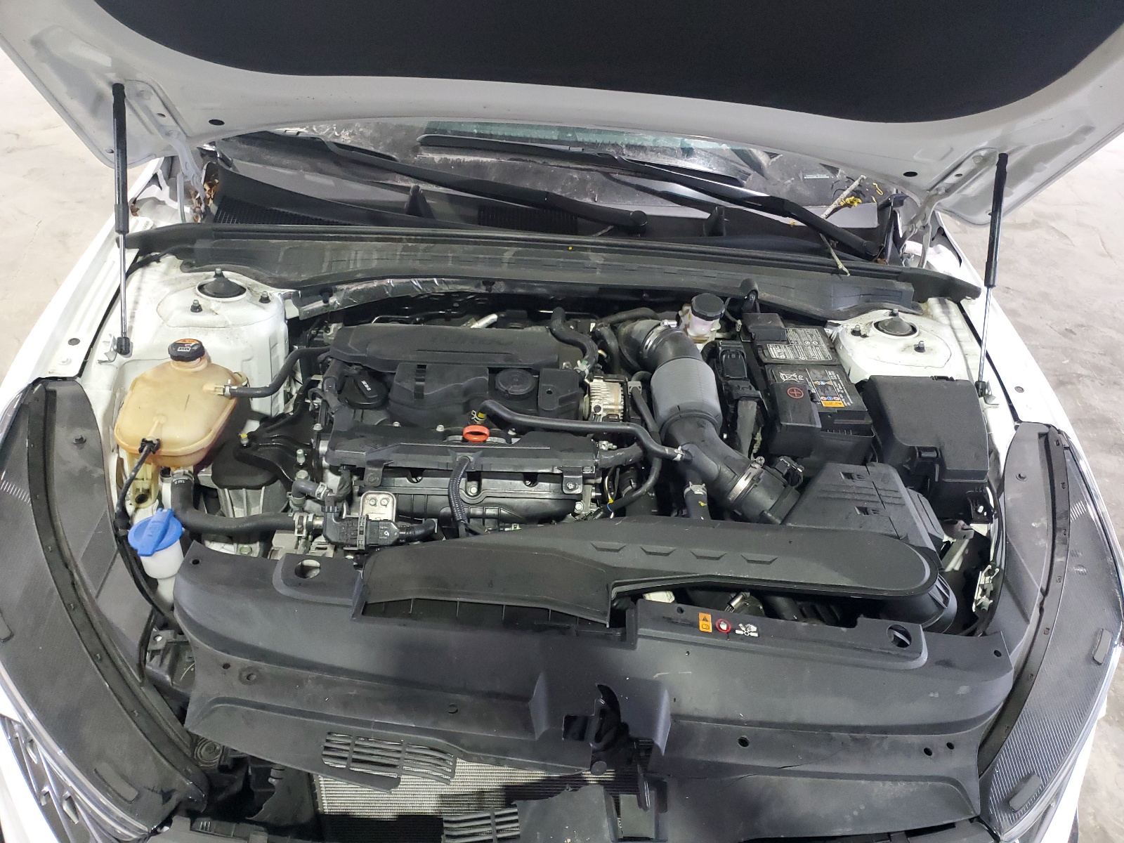 5XXG64J27PG196144 2023 Kia K5 Gt Line