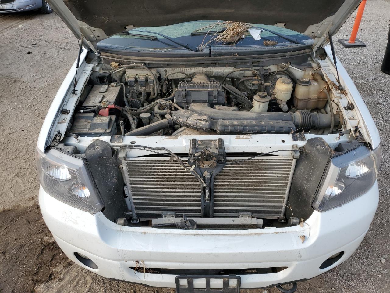 2007 Ford F150 VIN: 1FTPX14VX7FA82817 Lot: 63720034