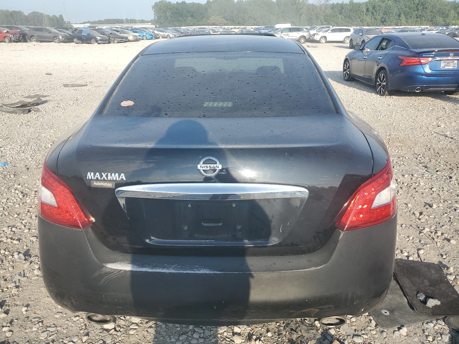 1N4AA5AP4BC846892 2011 Nissan Maxima S