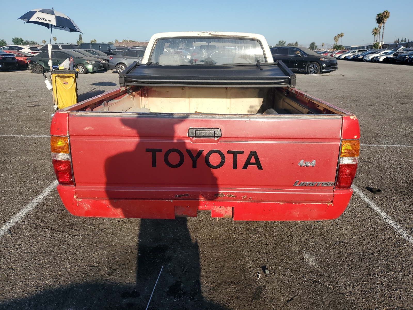 JT4RN81A9M0064686 1991 Toyota Pickup 1/2 Ton Short Wheelbase