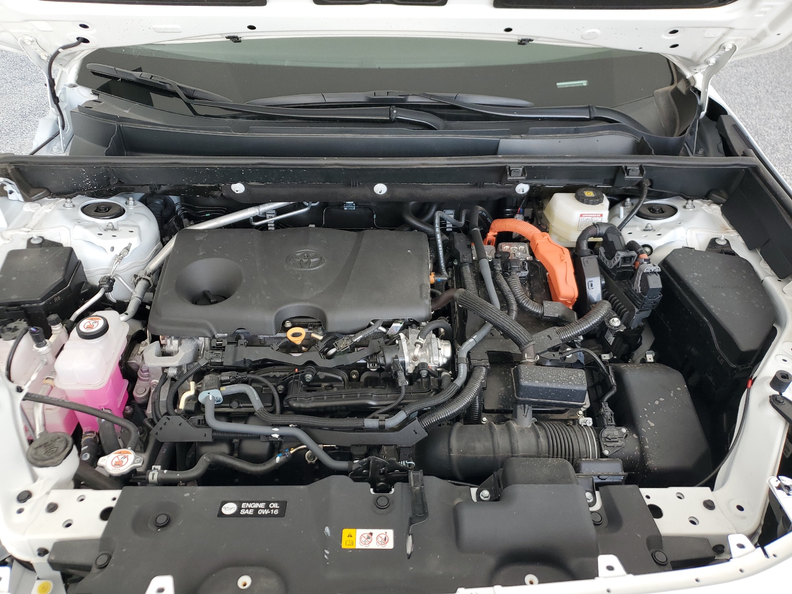 2T3LWRFV1RW199782 2024 Toyota Rav4 Le