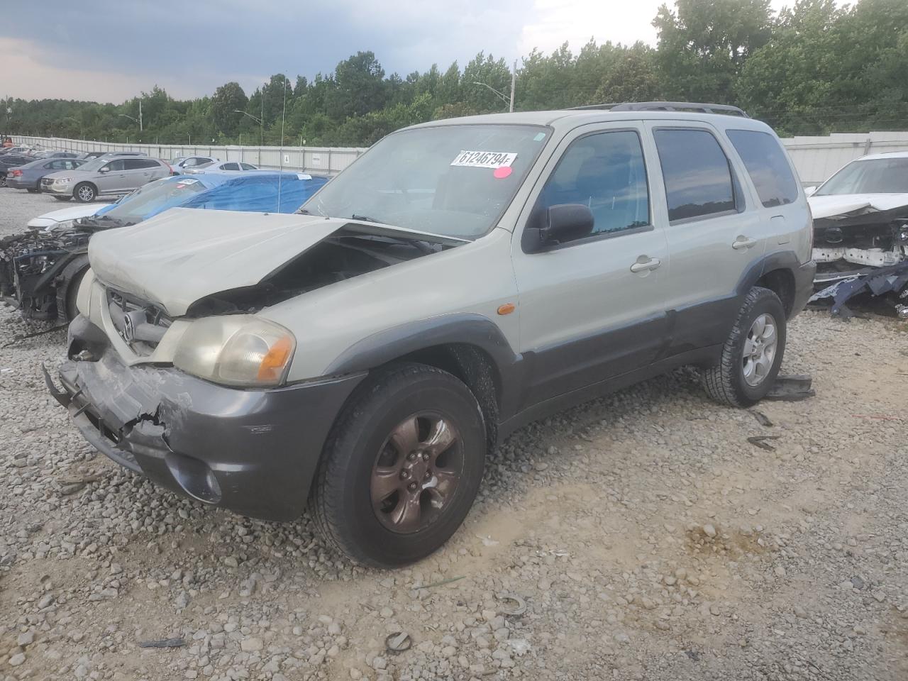 2004 Mazda Tribute Es VIN: 4F2CZ06154KM30233 Lot: 61246794