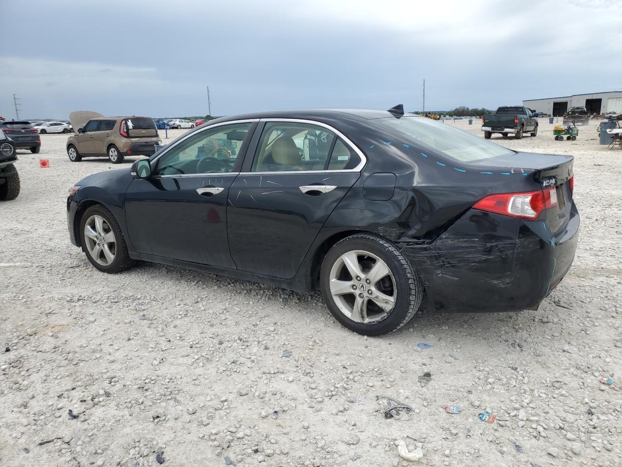 2009 Acura Tsx VIN: JH4CU26649C033103 Lot: 61871384