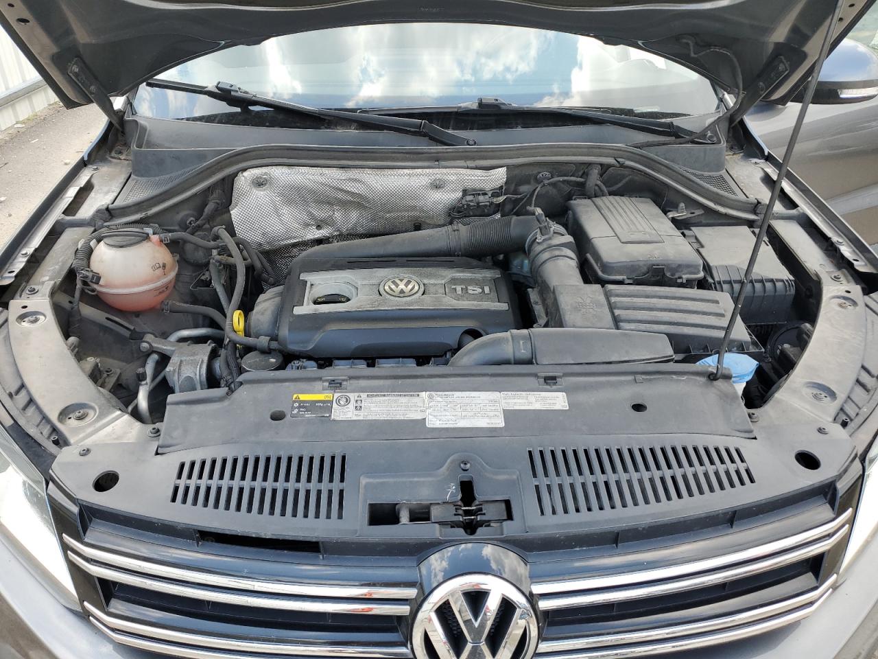 2016 Volkswagen Tiguan S VIN: WVGAV7AX3GW004136 Lot: 63177534