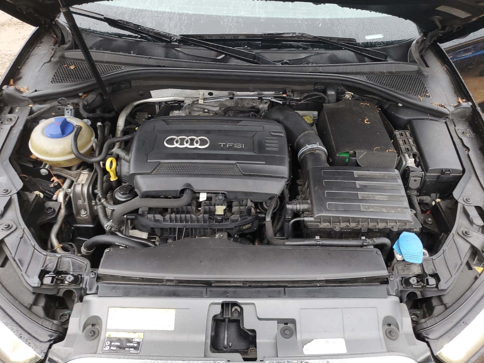 WAUCCGFF0F1020564 2015 Audi A3 Premium Plus