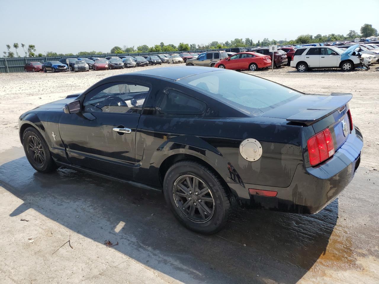 2007 Ford Mustang VIN: 1ZVHT80N075279383 Lot: 62864254