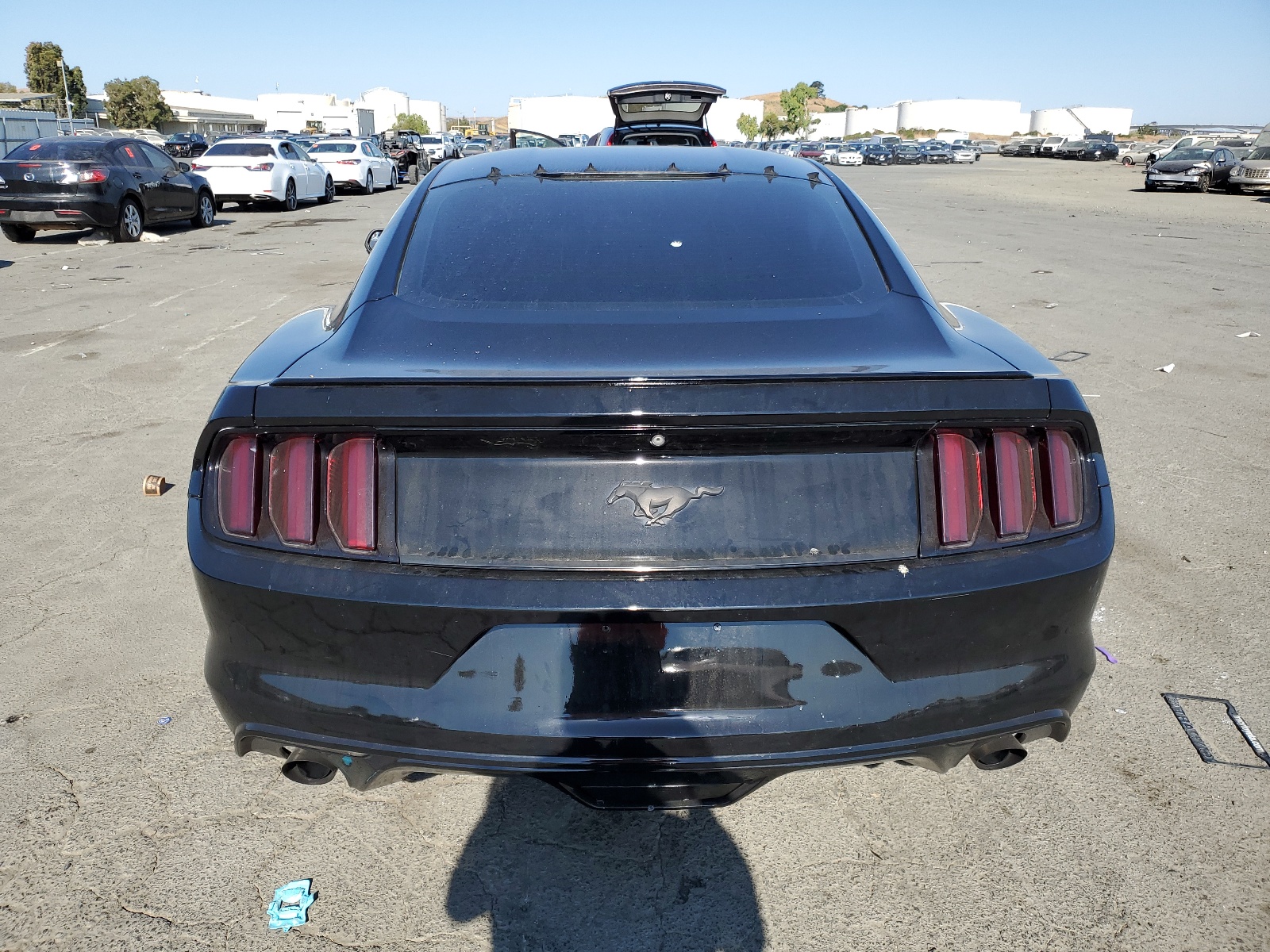 1FA6P8TH6F5356041 2015 Ford Mustang