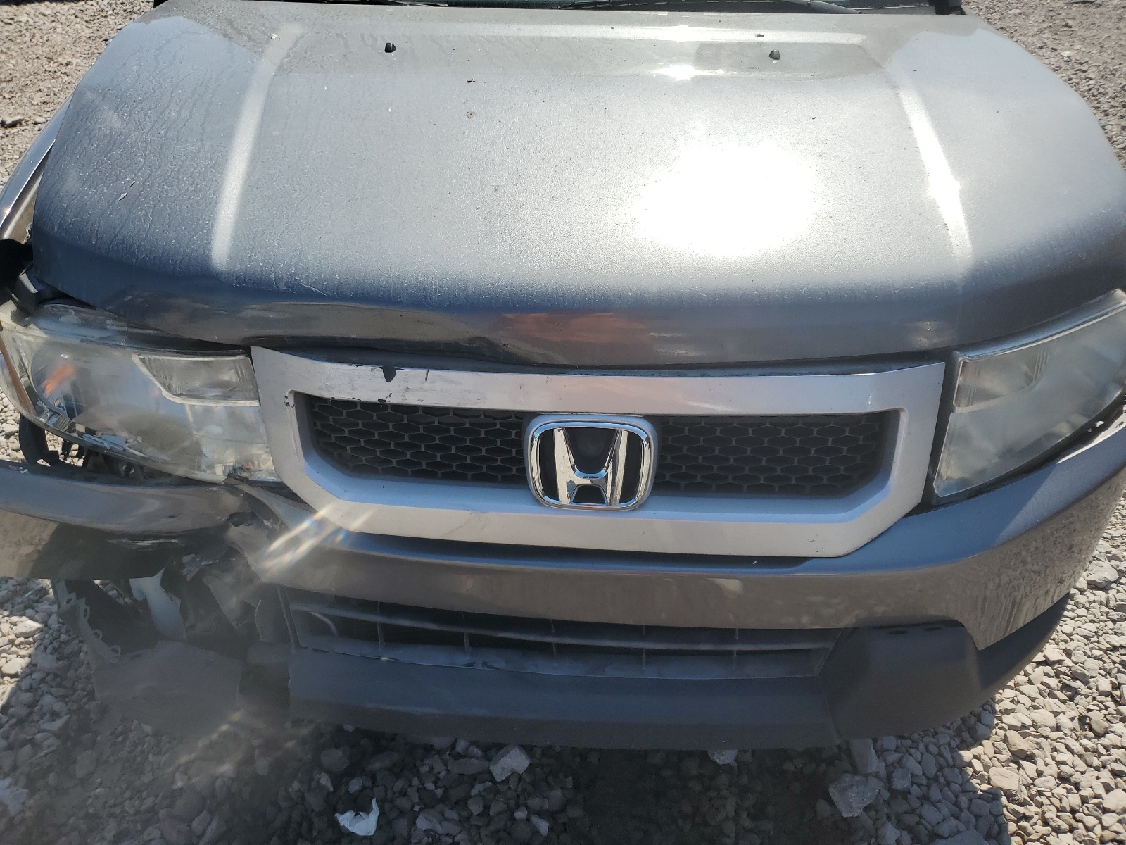 5J6YH1H77AL002311 2010 Honda Element Ex