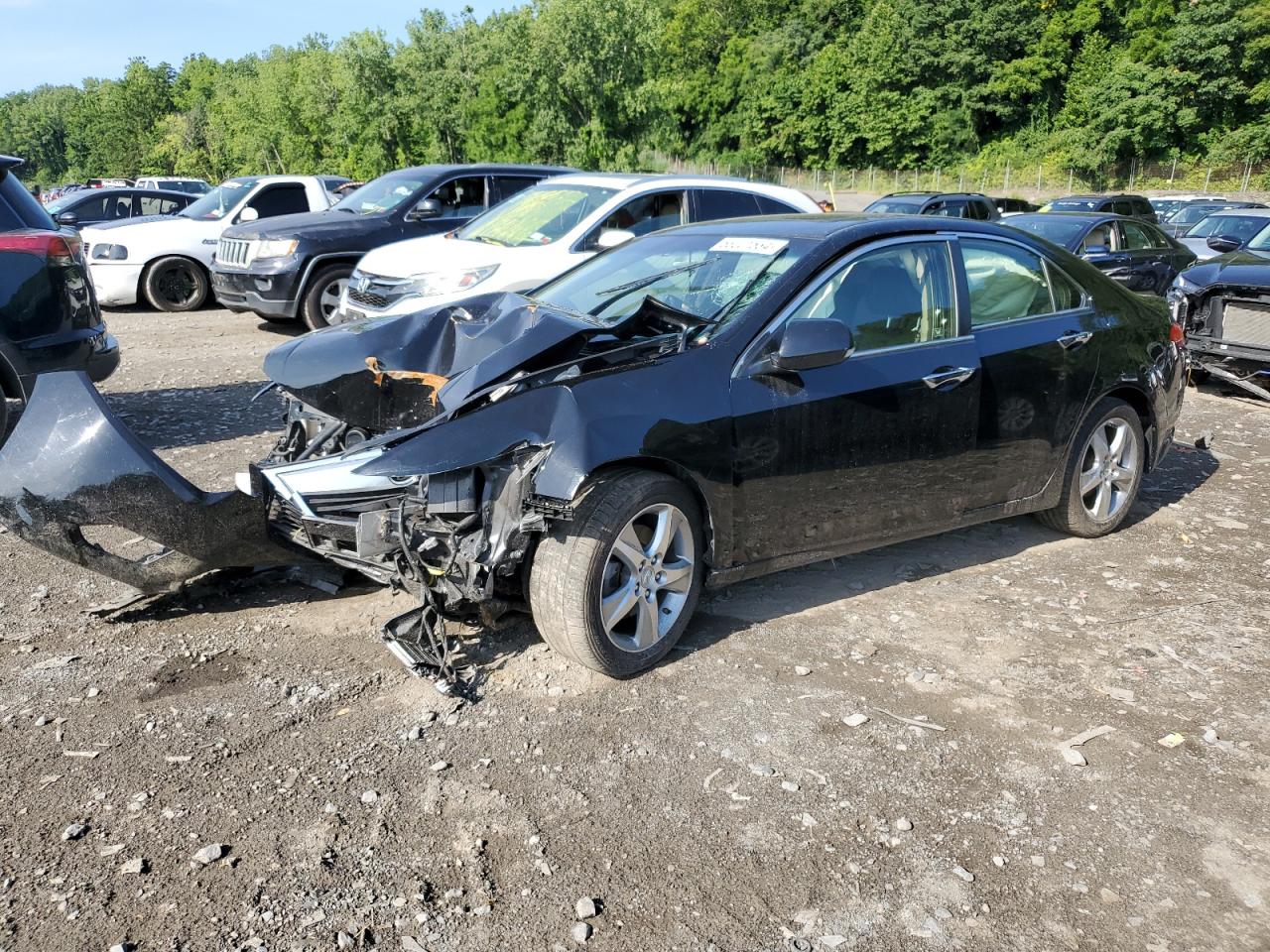 2013 Acura Tsx VIN: JH4CU2F4XDC003496 Lot: 63221534