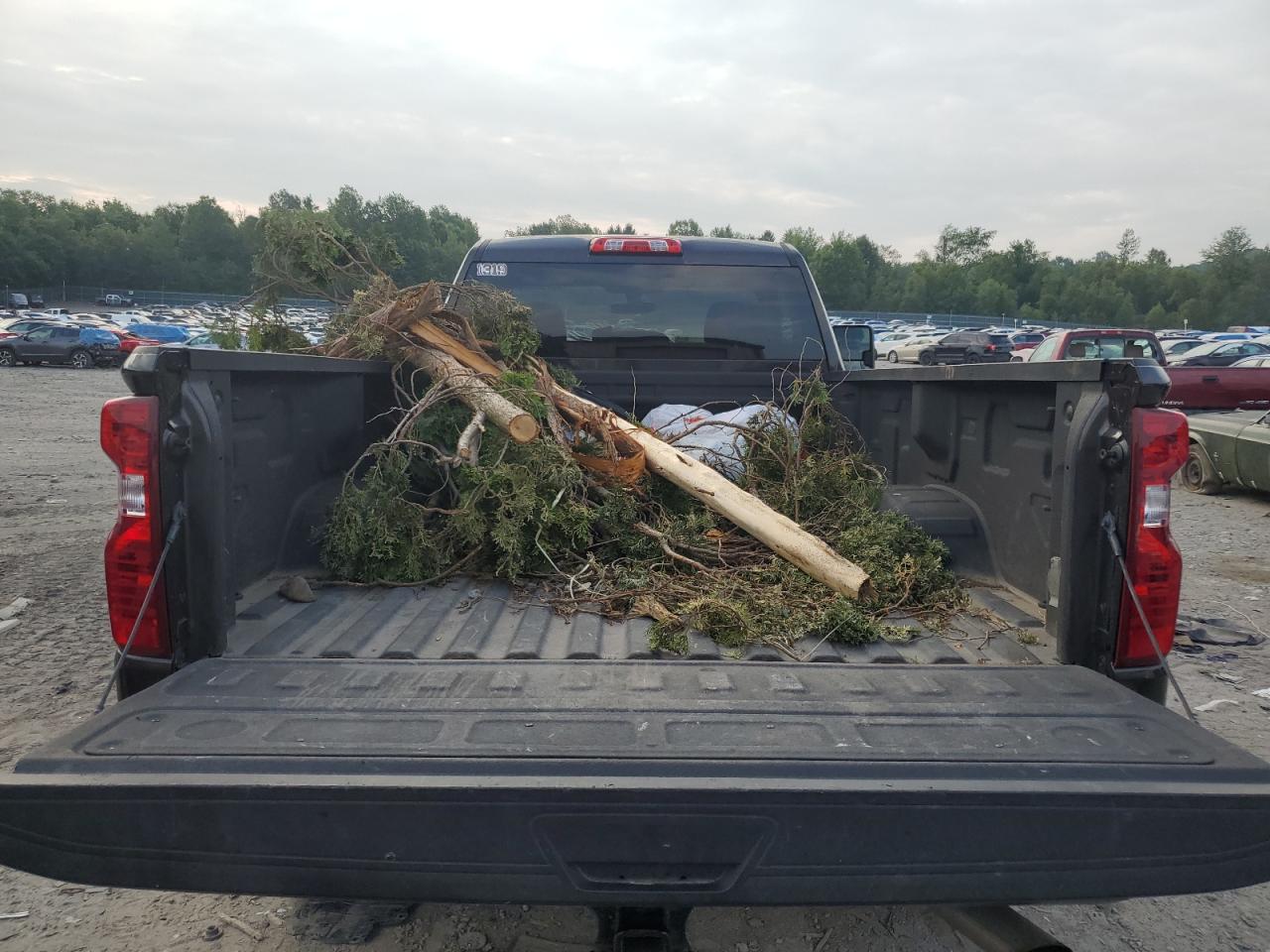 2021 Chevrolet Silverado K2500 Heavy Duty VIN: 1GC3YLE74MF266296 Lot: 62730444