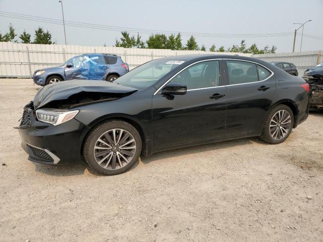 2018 ACURA TLX TECH for sale at Copart AB - EDMONTON