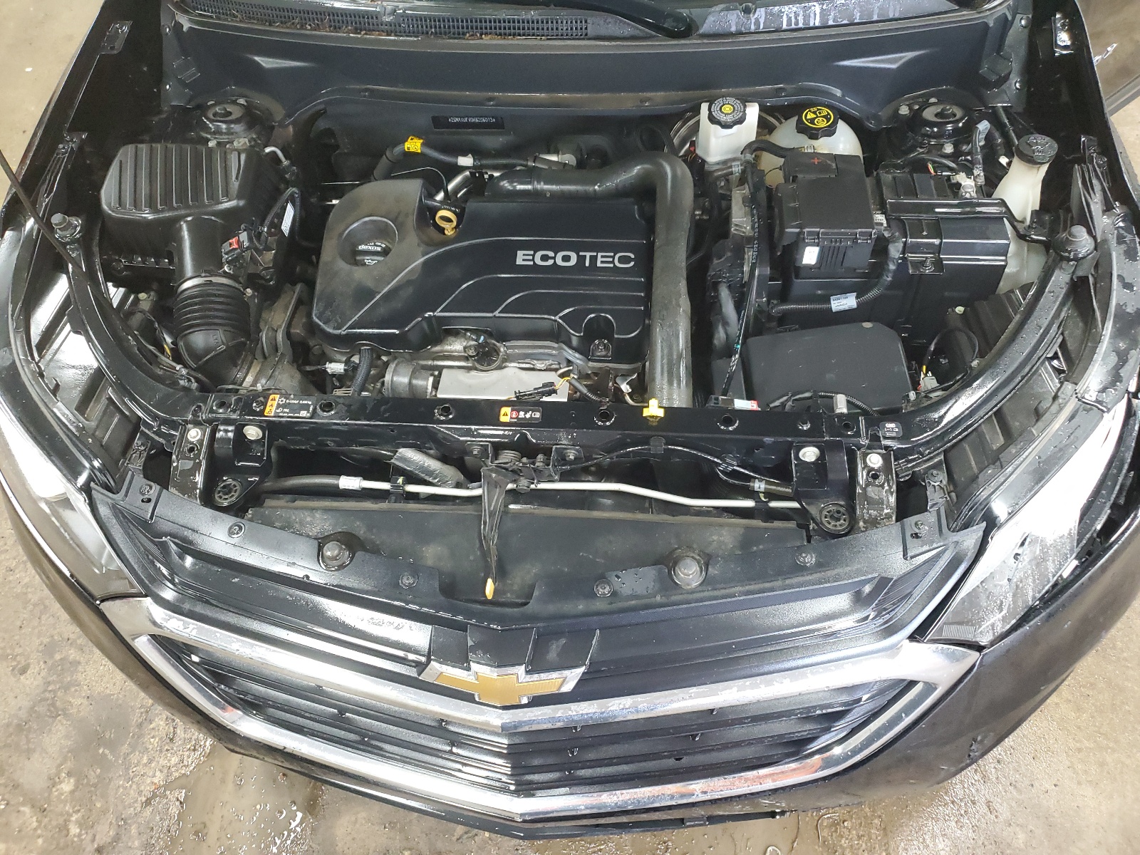 2GNAXUEV0K6206013 2019 Chevrolet Equinox Lt