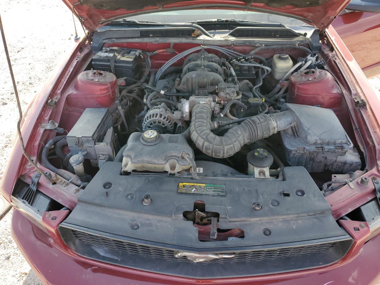 2007 Ford Mustang VIN: 1ZVFT80N375227737 Lot: 63308864