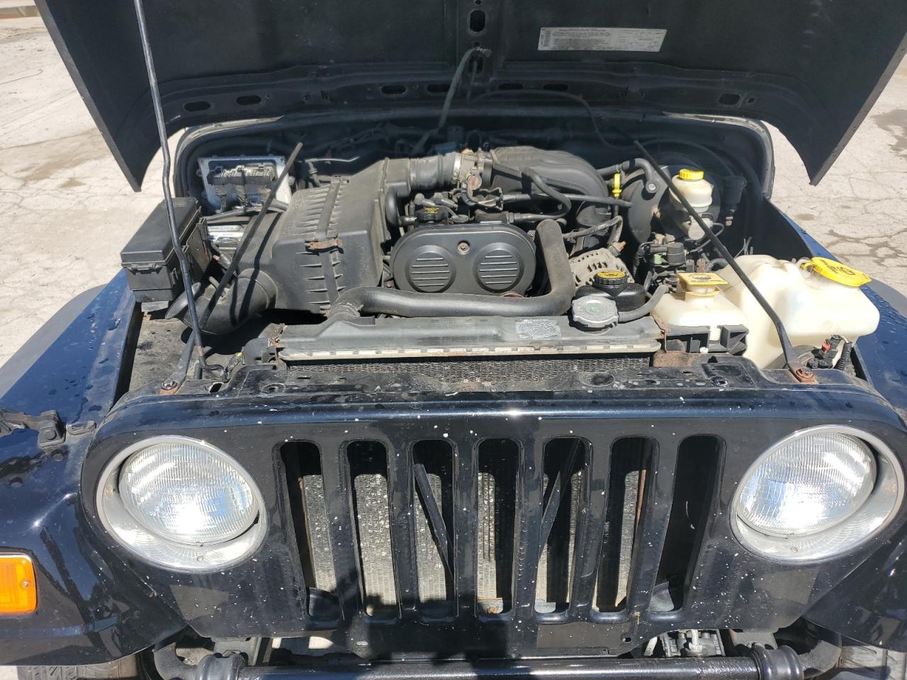 2004 Jeep Wrangler / Tj Se VIN: 1J4FA29154P796315 Lot: 61420474