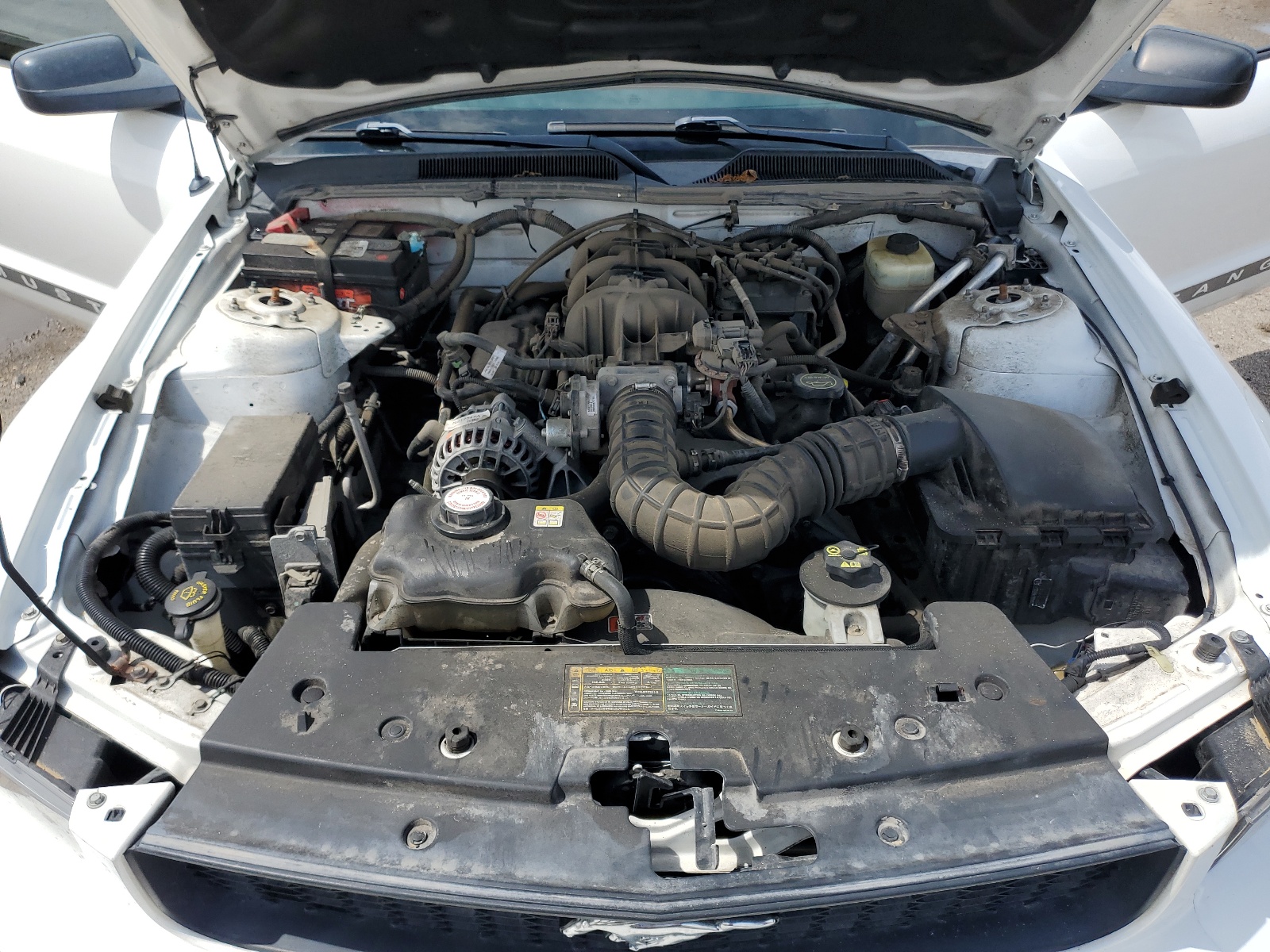 1ZVFT80NX65261060 2006 Ford Mustang