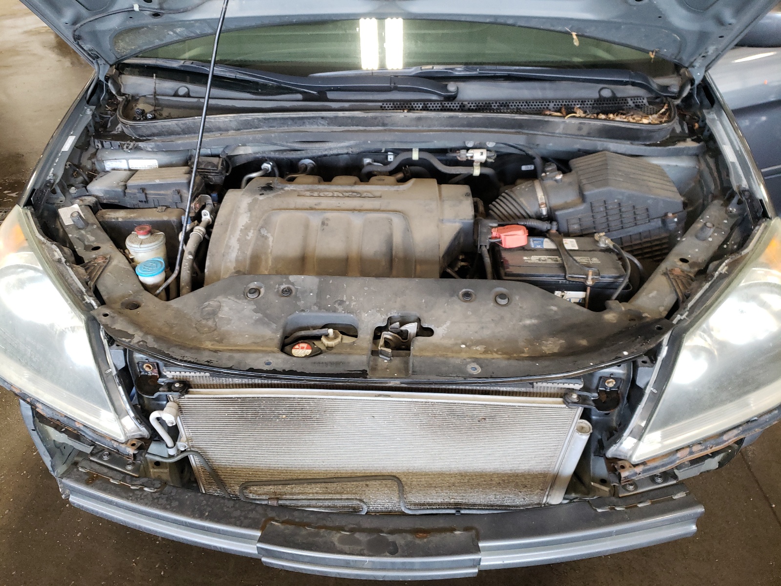 5FNRL3H46AB076669 2010 Honda Odyssey Ex