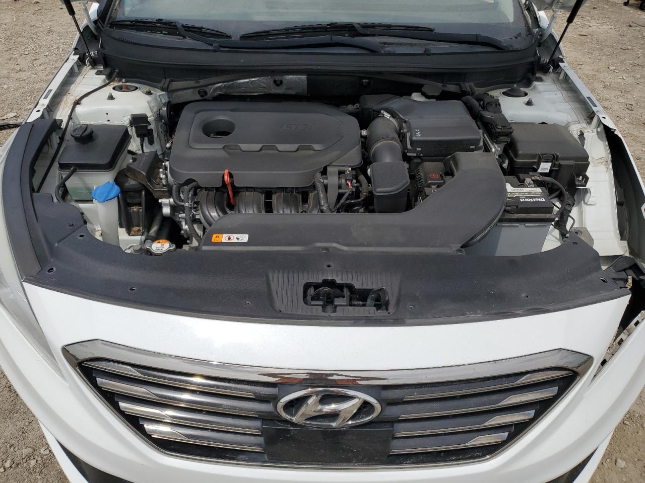 2016 Hyundai Sonata Sport VIN: 5NPE34AF4GH297116 Lot: 62011114