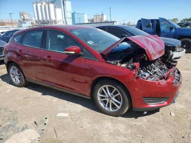  FORD FOCUS 2017 Красный