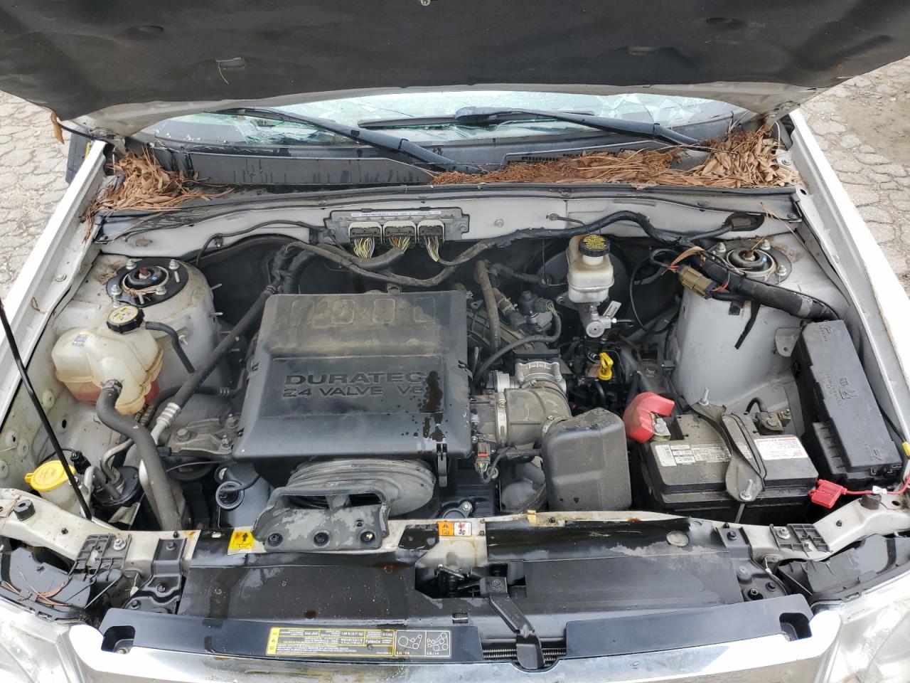 2011 Ford Escape Xlt VIN: 1FMCU9DG4BKA97381 Lot: 64841834